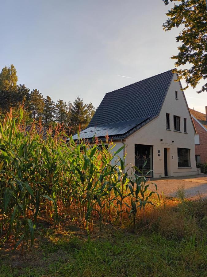 B&B Snelleghem Snellegem Exteriér fotografie